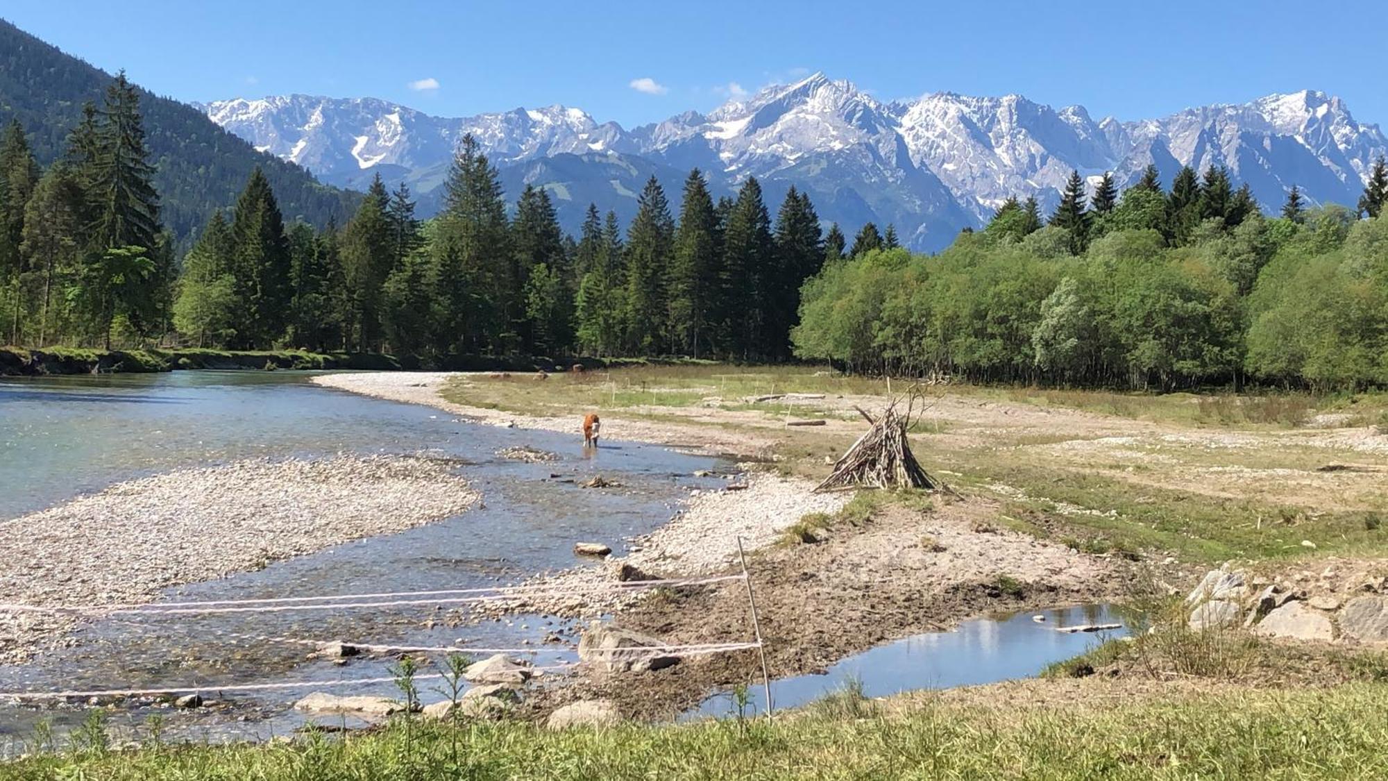 Appartamento Regina Garmisch-Partenkirchen Esterno foto